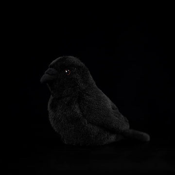 Realistic Chubby Crow Bird Stuffed Animal Plush Toy